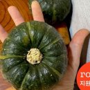 미니루트 이미지