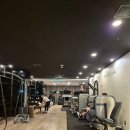 (주) 더랩스휘트니스 석촌고분 | 석촌동 헬스장ㅣ휴메이크휘트니스 석촌점ㅣ무료주차 가능한 석촌동 PT 체험후기