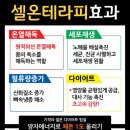 만성점핑다이어트