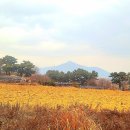 예수 태양광발전소 네이버블로그