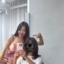 대덕구청직장어린이집 | 서울 강남 미용실 추천 아뉴헤어 은별 대표원장님 헤어컨설팅 레이어드 컷 &amp; 애쉬브라운 염색 후기