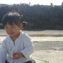 제주섬타임즈 이미지