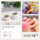 (주)댕이집밥 | 월간일기｜2025년 8월, 체험단 피크와 블로그 성장의 기록