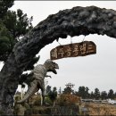 제주 공룡랜드 전시관 이미지