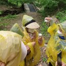 본아미강남어린이집 이미지