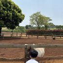 용두목장 이미지