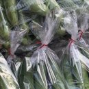 평동농업협동조합(마트) 이미지