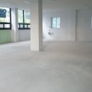 댕댕댕 애견유치원 이미지