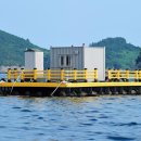 설리바다낚시터 이미지