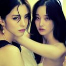 (주)에이스프로젝트 | 한소희 전종서 여성 범죄 누아르 프로젝트 Y 관람 후기