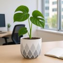 모던레시피 이미지