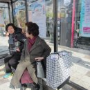 희망의 의자 이미지