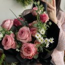 주정차단속-113 이미지