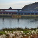 순천만여행스케치 이미지