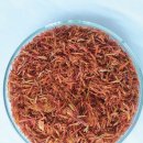 (유)푸른나라 이미지