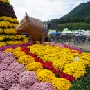 어제 철마한우축제 다녀왔어요 이미지