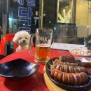 용마산로 480 이미지