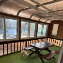 솔푸른향기애견 이미지