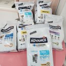 개와냥이동물병원 이미지