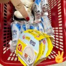 만 마리의 호랑이 | 🏕️[내돈내산 / 가평, 포천] 호랑이 캠핑장 글램핑🏕️