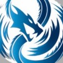 푸르미르태권도장 이미지