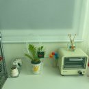 캐릭터월드크리닝 이미지