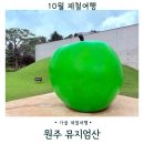 뮤지엄산(청조갤러리) | 강원도 원주 가볼만한 곳 뮤지엄산 주차 입장료 카페테라스 전시