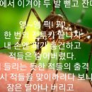 한밤의 혈투 이미지