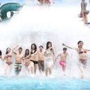 오션월드PC 이미지