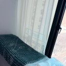 태중로 | 경기광주다다쁨에 다녀온 내돈내산 후기에요