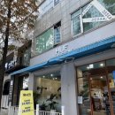 석환 | 분당 수내역 미용실 석환 원장님 휴시크 시세이도 클리닉 후기