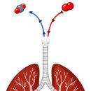 산성식품 이미지