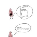 명품 디자인 카피 제품 논란 이미지