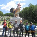 표교초교 이미지