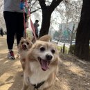 꽃길프로젝트 이미지