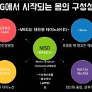 우리가 잘못 알고 있는 MSG(향미증진제)는 안전한 아미노산이다~!! 이미지