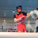 화랑 (권투) 이미지