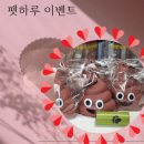 강아지수제간식 펫하루 오리날개 솔직후기