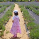 하늬농장 이미지