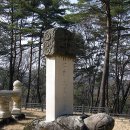 영천 치일리 인종태실 Daum카페