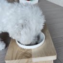 언제나 내곁에 이미지