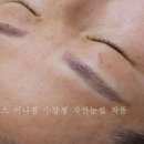 아이리스 아카데미 이미지