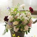 생활원예관리사 이미지