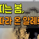 꽃피는봄날 - 유성구 수통골로 49 | 꽃피는봄날