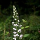 한라전설(주) 이미지