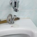 평창군농업기술센터 이미지