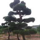 황등1농장 이미지