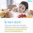 식탐 하이닥