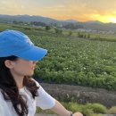 하널 | 춘천 독채 감성숙소 [하널] 2박3일 스테이폴리오 내돈내산