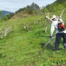 극복 농장 이미지
